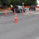 31. Lay-out for a median Victoria Rd. Cambridge Tree Trust